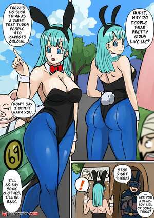 Porn comics Bulma Short Comic. Chapter 1. Dragon Ball. Pink Pawg.