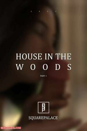 Porn comics House in the Woods. SquarePalace.