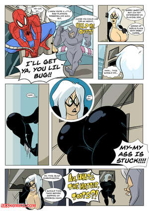 Porn comics Spider Man and Black Cat. Zaribot.