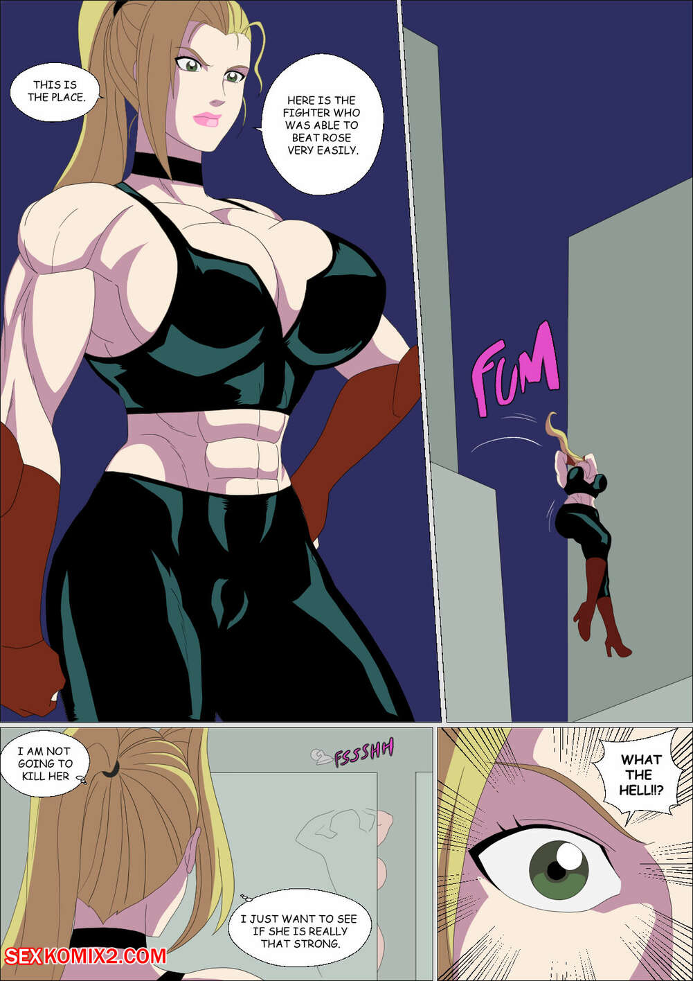 Porn comics Street Fighter Girls. Zetarok.