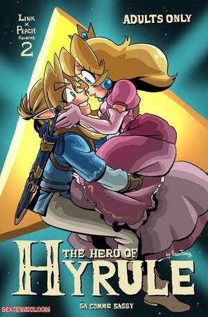 Porn comics The Hero of Hyrule. Chapter 2. DconTheDanceFloor.