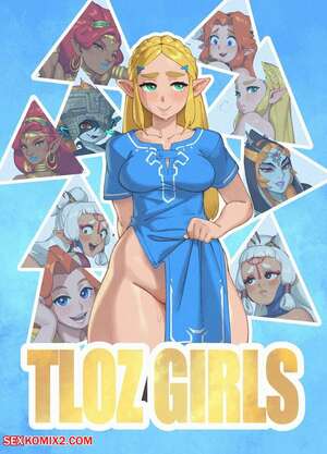 Porn comics The Legend of Zelda Girls. Rizdraws