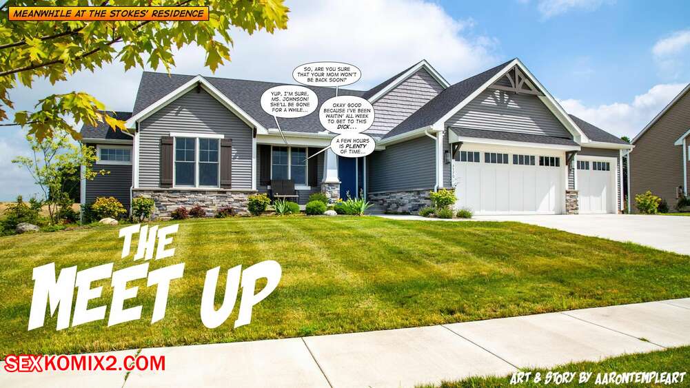 Porn comics The Meet Up. AaronTempleArt