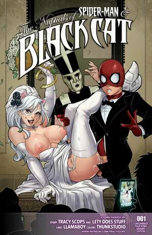 Porn comics The Nuptials. Spider-Man.