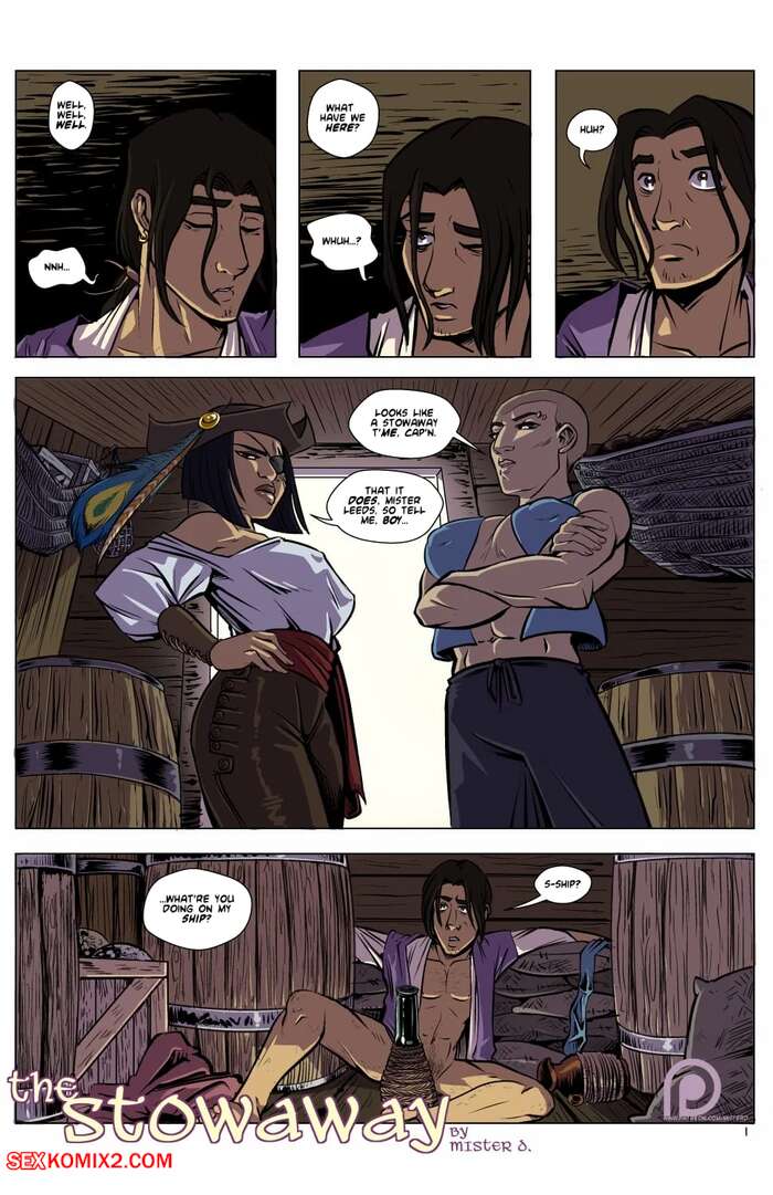 Porn comics The Stowaway. Chapter 1. Mister D.