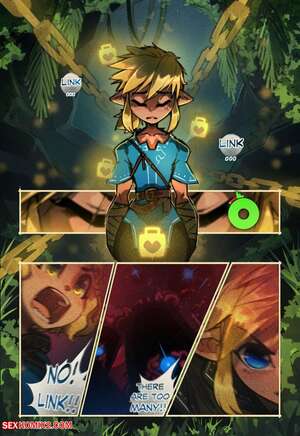 Porn comics Z Botw Salida. pokilewd